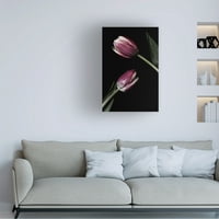 Lori Hutchison „Két tulipán” vászonművészet