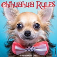 Willow Creek Press Chihuahua szabályok falnaptár