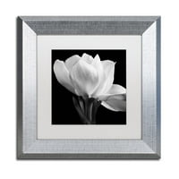 Védjegy Képzőművészet '' Gardenia '', Michael Harrison 16 16 Fehér Matted ezüst keret
