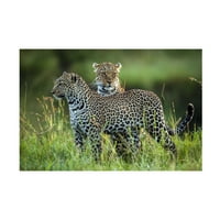Roshkumar 'Leopard Family' Canvas Art