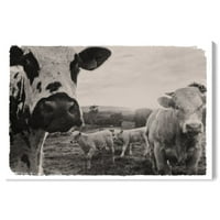 Wynwood Studio Animals Canvas Art Print 'tehenek a terepen' Farm állatok - Fekete, szürke