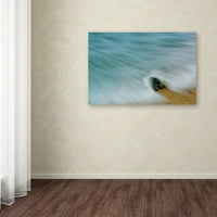 Védjegy Szépművészet 'Whelk SeaShell and Misty Wave' vászon művészete: Pipa Képzőművészet