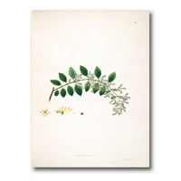 Designart 'ősi növényi élet xviii' parasztház vászon fali művészet nyomtatás
