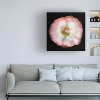 Lotte Gronkjar 'Homegrown Poppy' Canvas Art