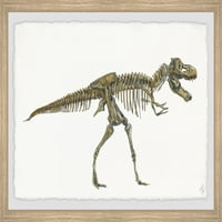 Marmont Hill Tyrannosaurus csontváz keretes fal művészet
