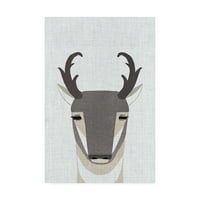 Védjegy Szépművészet „Pronghorn Antelope” vászon művészete, Annie Bailey Art
