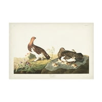 John James Audubon 'Willow Grouse' vászonművészet