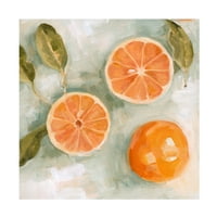 Emma Scarvey 'Fresh Citrus II' vászon művészet