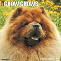 Willow Creek Press Just Chow Chows fali naptár