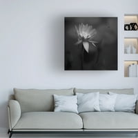 S Tjandra 'Lotus' Canvas művészet