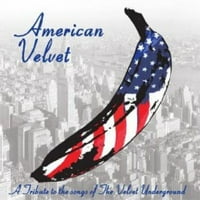 Amerikai Bársony: Tisztelgés A Velvet Underground Előtt