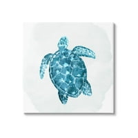 Stupell Industries Aquatic Sea Life teknős grafikus galéria csomagolt vászon nyomtatott fali művészet, Kim Allen tervezése
