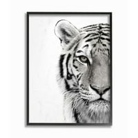 A Stupell otthoni dekorációs kollekció fehér tigris közeli fekete -fehér fotózás keretes giclee texturizált művészet