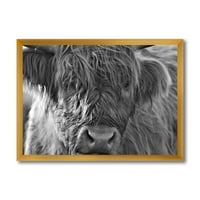 DesignArt 'közeli skót hegyvidéki tehenek, akik a mocsarakban élnek.