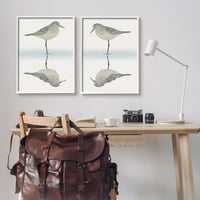 Stupell Industries nyugodt homokpiper reflexió tengeri madár strand Shore grafikus művészet fehér keretes művészet nyomtatott