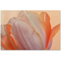 Védjegy Szépművészet 'narancssárga izzó tulipán' Cora Niele vászon művészete